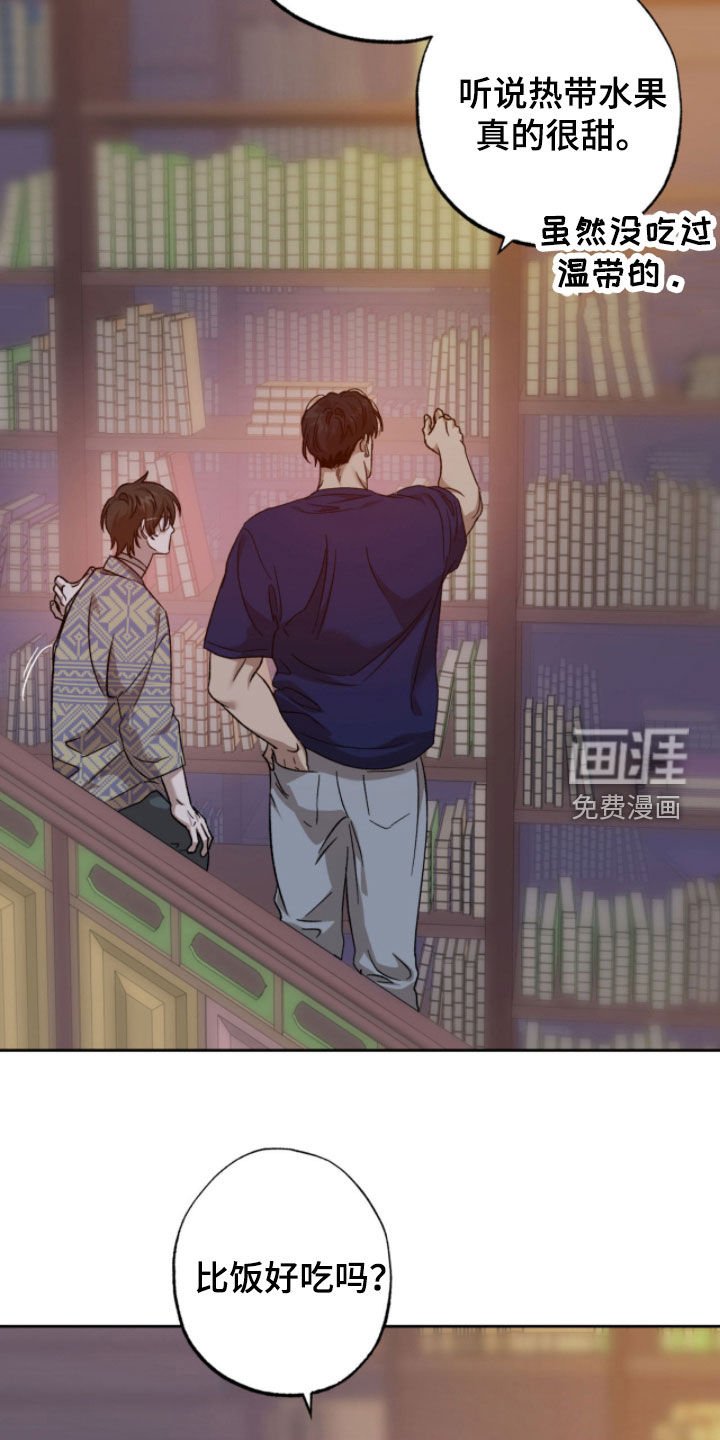 第24章：梦想