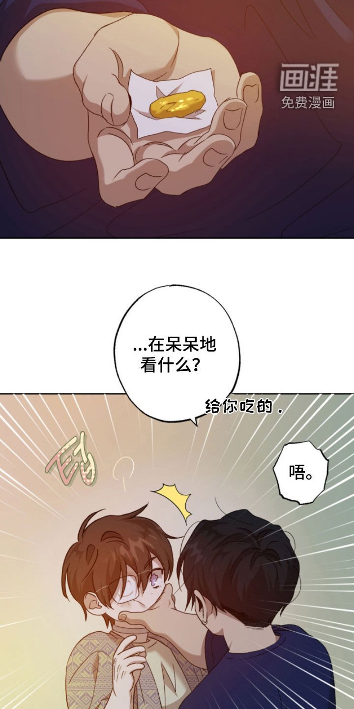 第25章：现在不能问