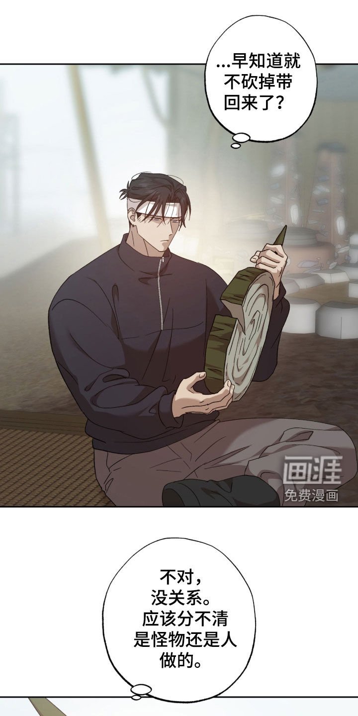第26章：私生子