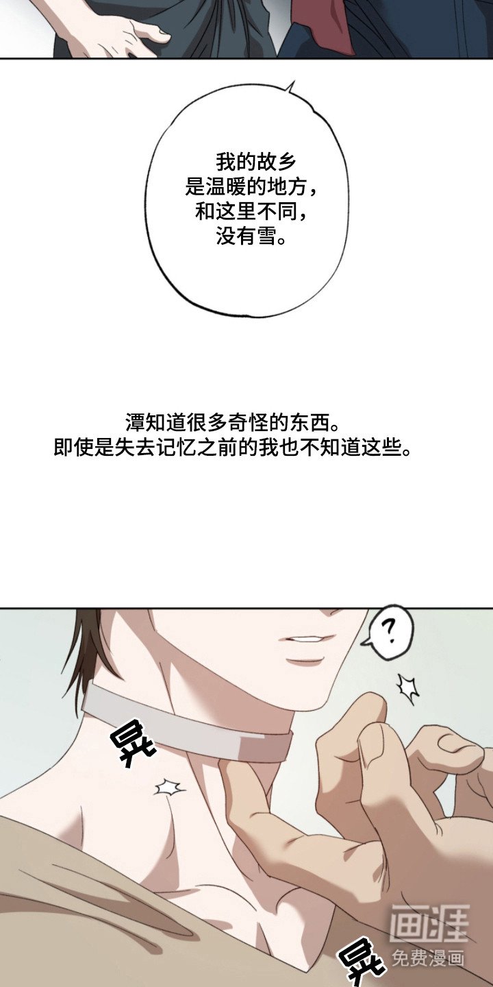 第5章：取名