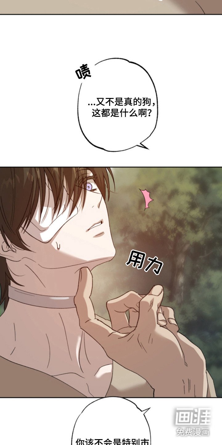 第5章：取名