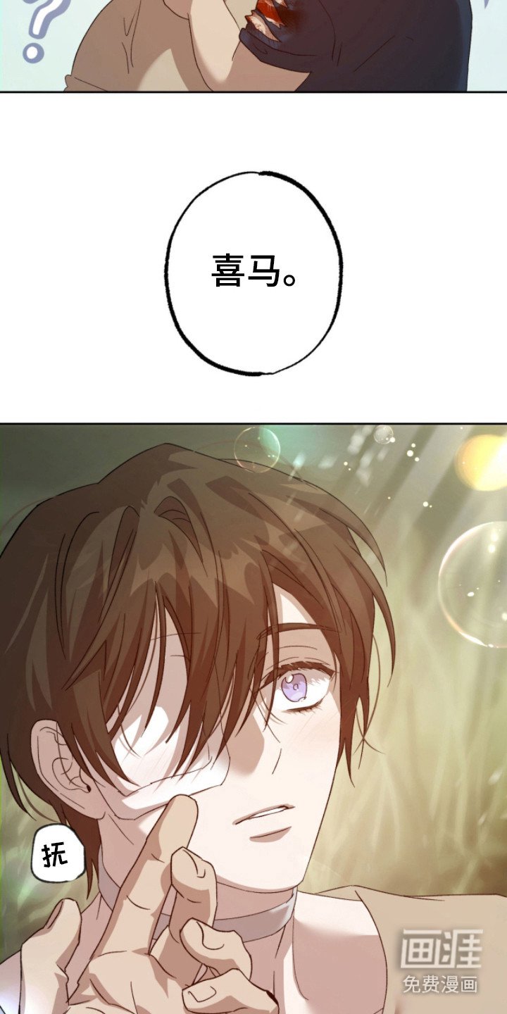 第5章：取名