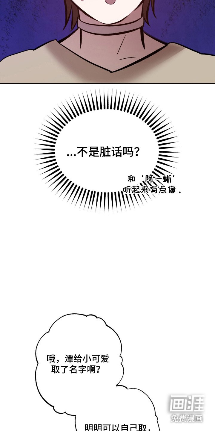 第5章：取名