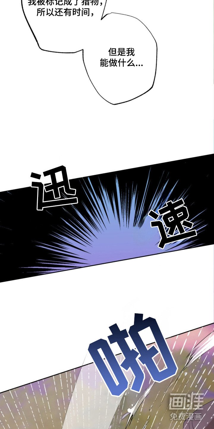 第8章：争取时间