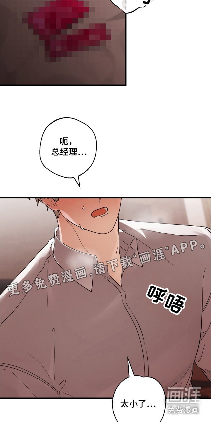 第10章：让我看着办