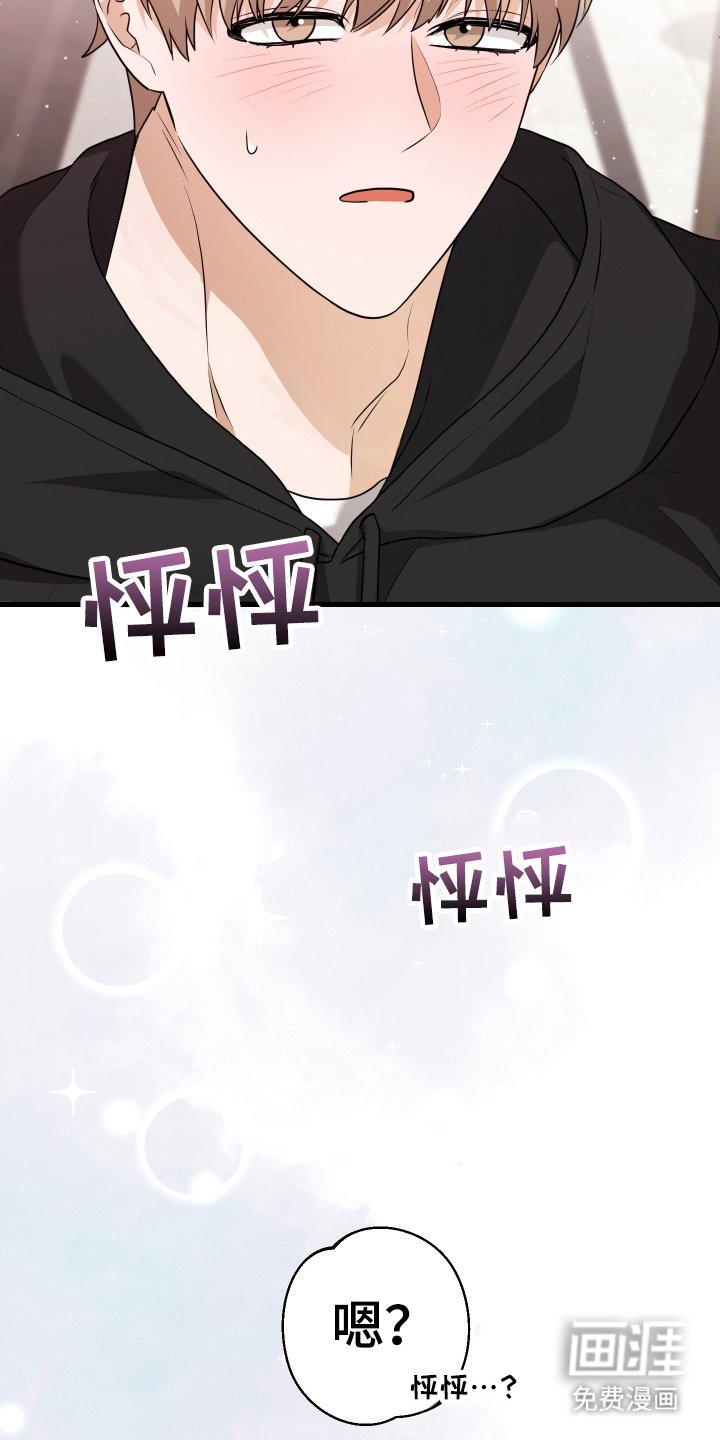 第15章：猜测
