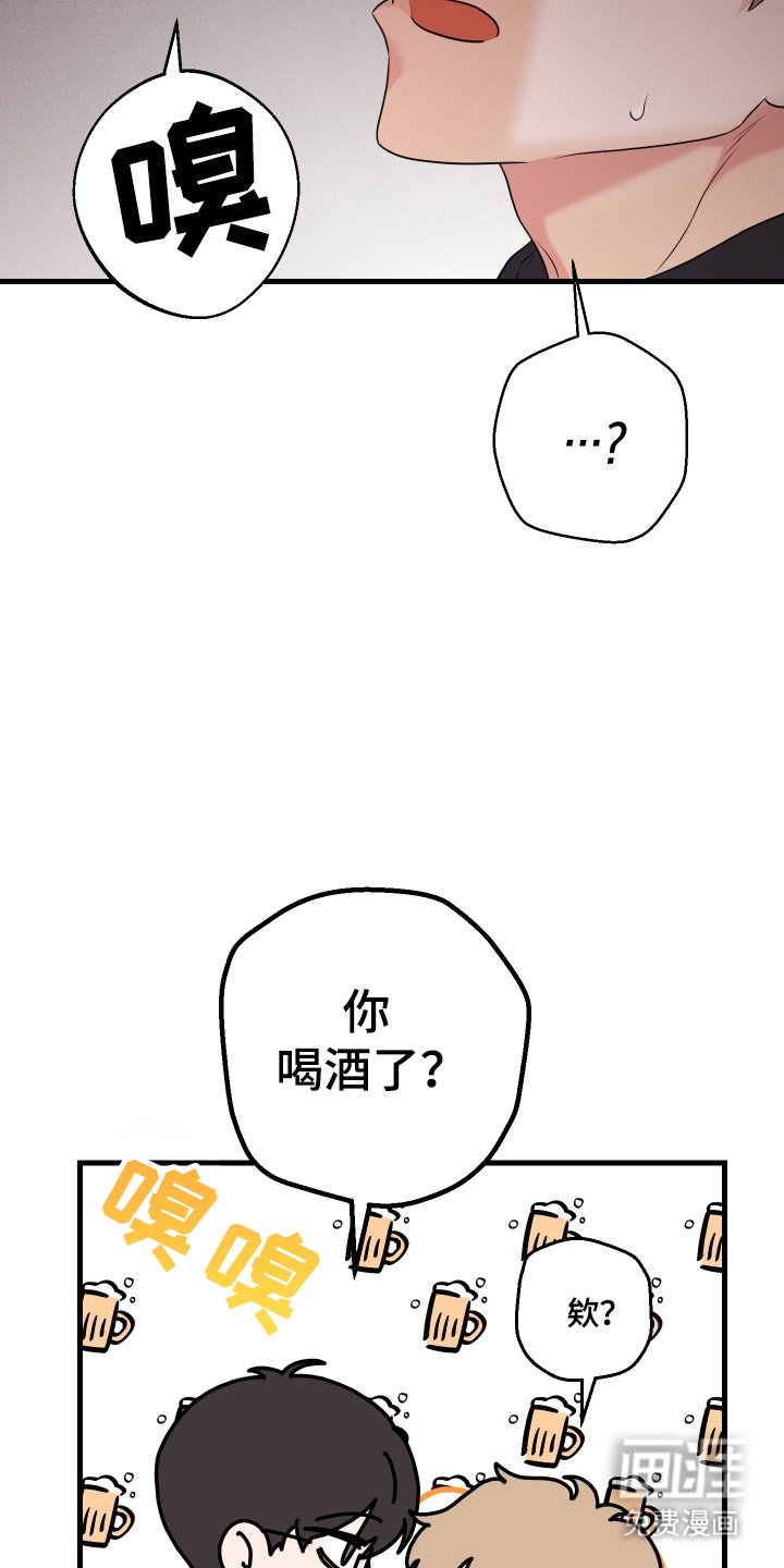 第15章：猜测