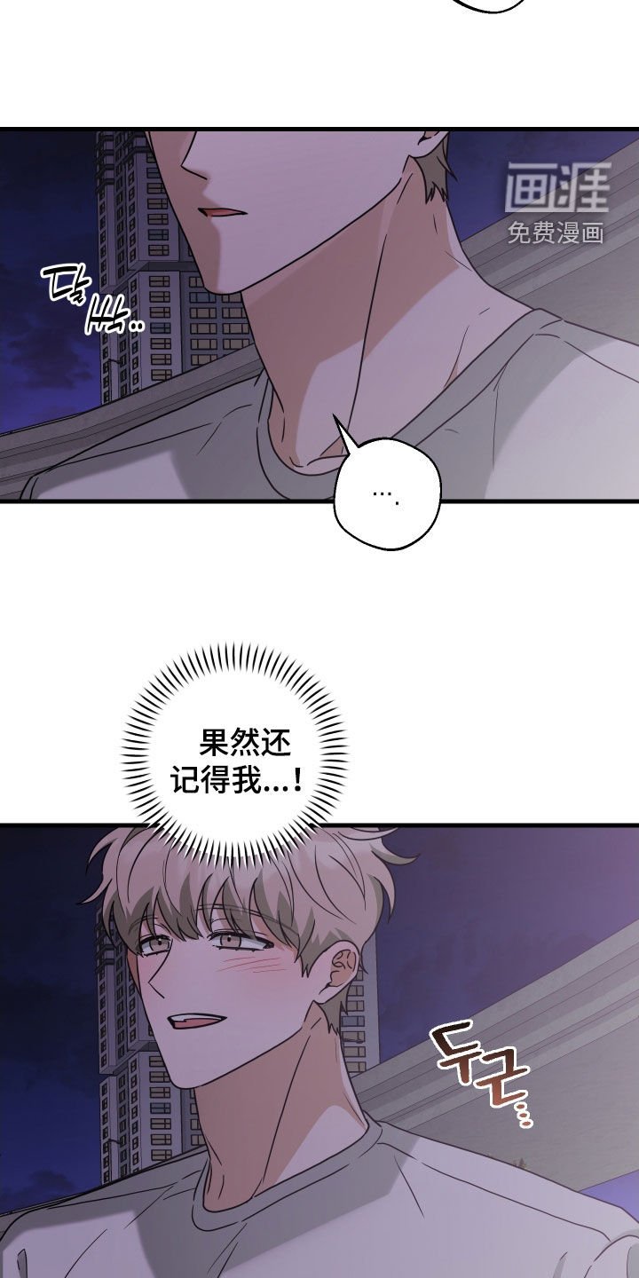 第26章：搞砸了一切