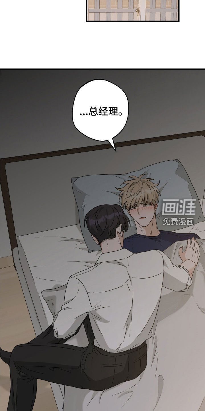 第29章：不要走