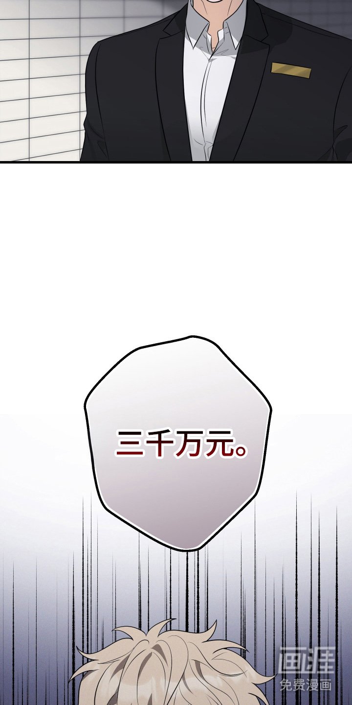 第3章：赔偿