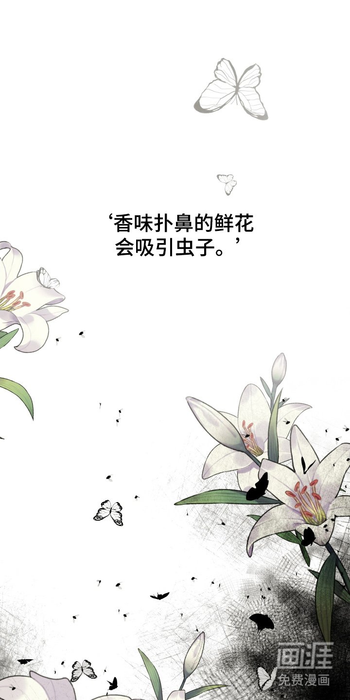 第4章：认真的