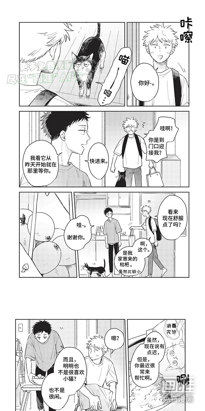 第11章：去了喵星