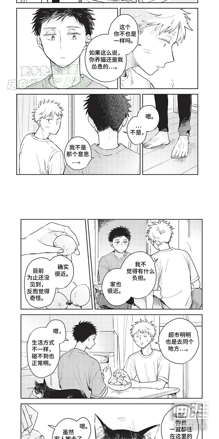 第11章：去了喵星