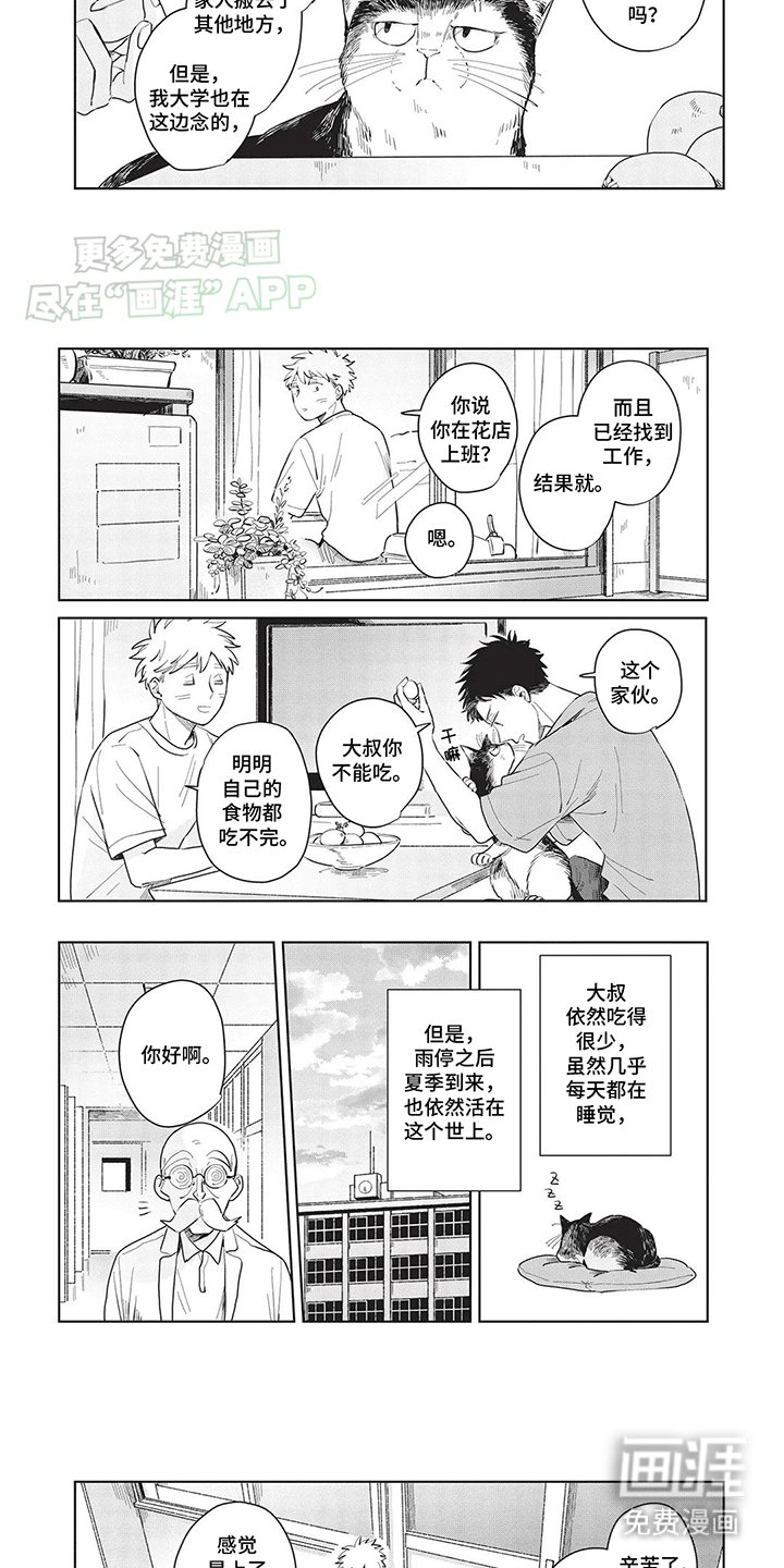 第11章：去了喵星