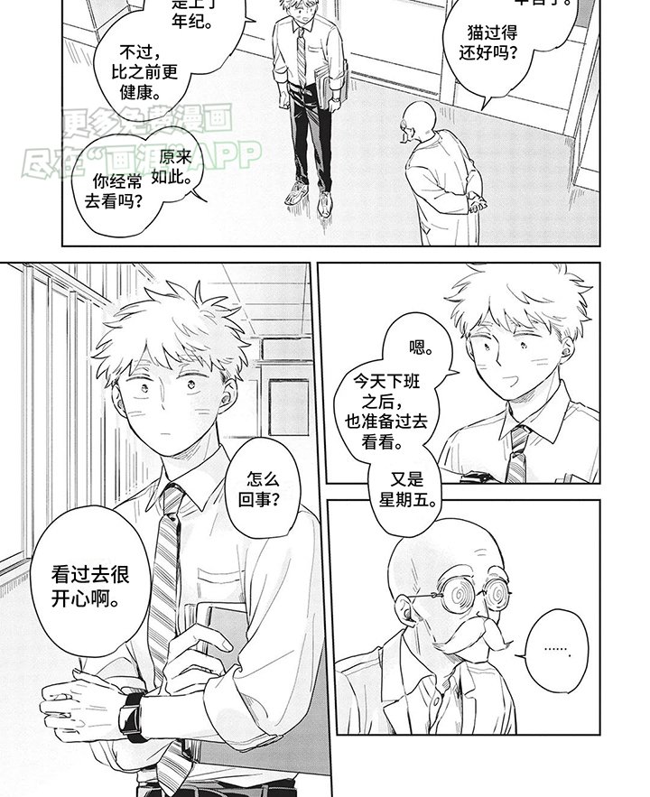 第11章：去了喵星