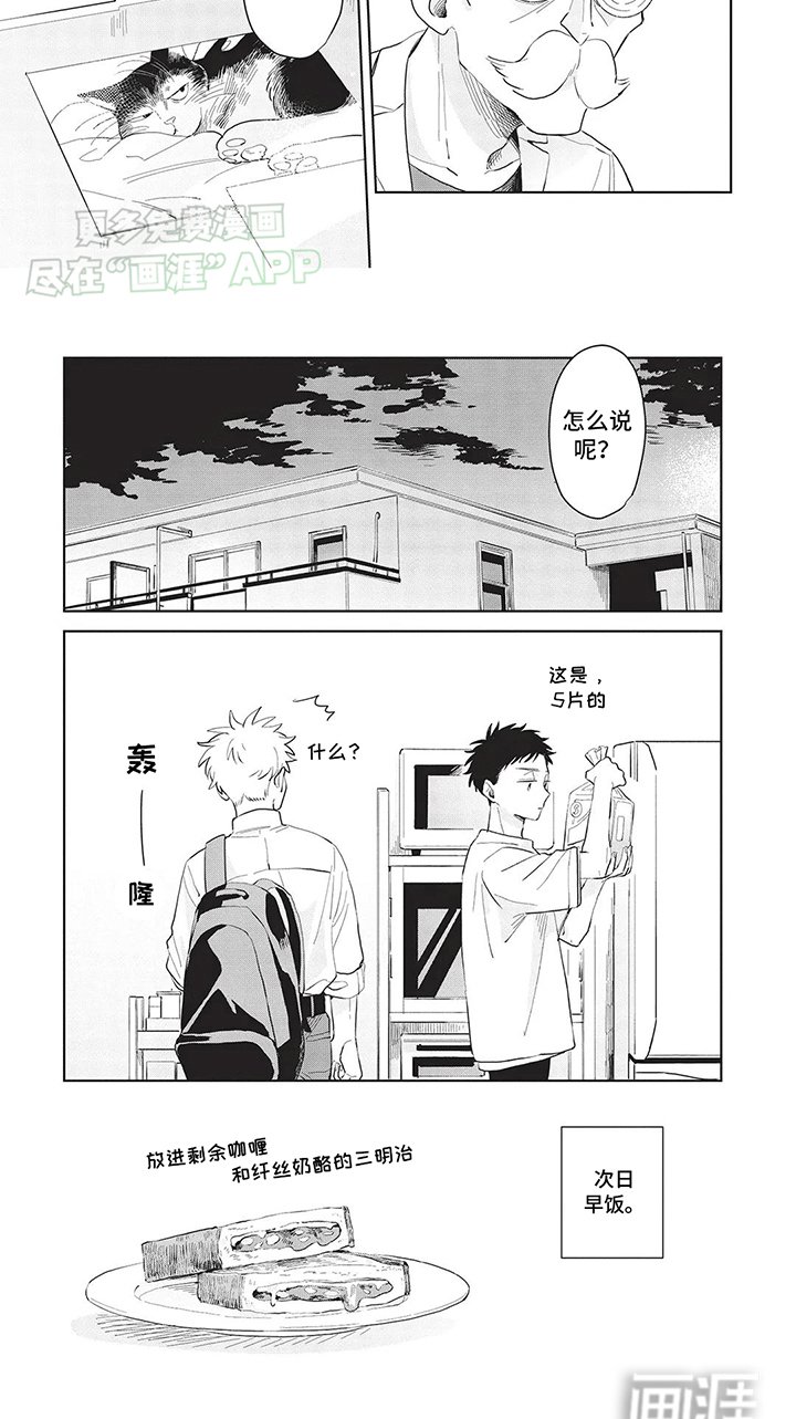 第21章：最美好的年纪