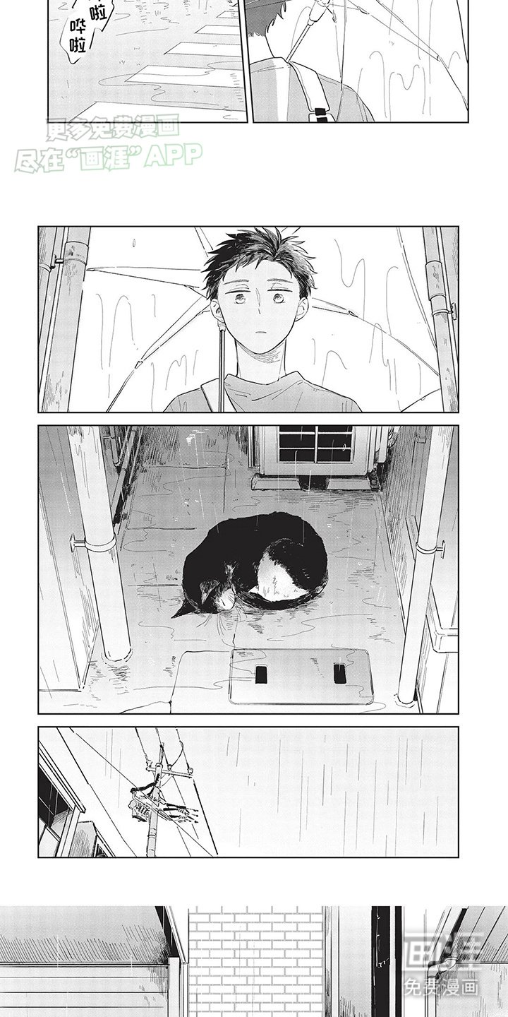 第9章：救助小猫