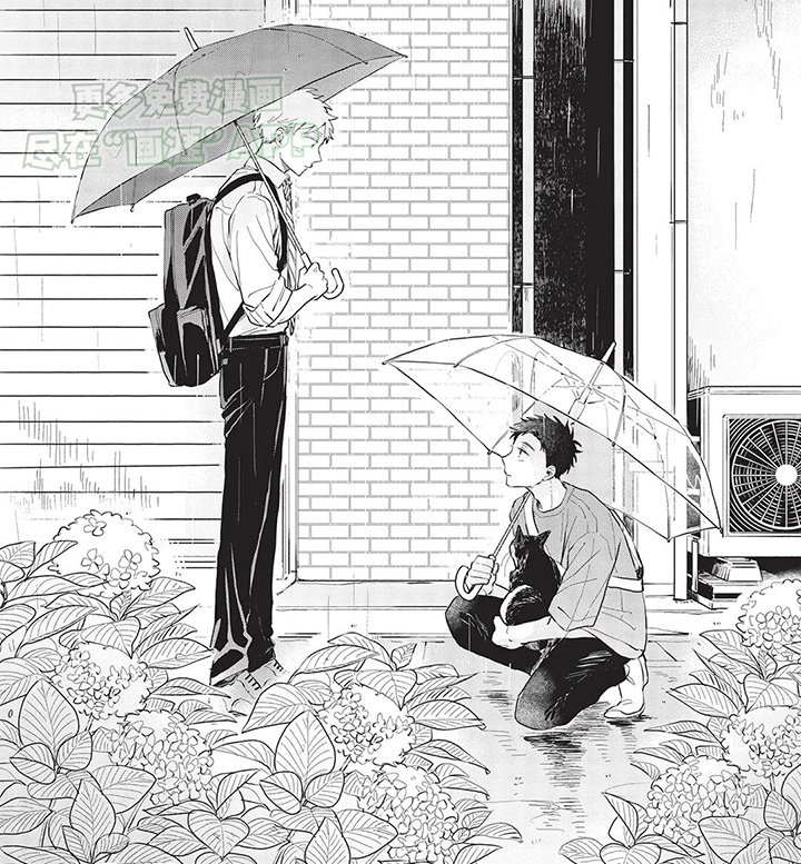 第9章：救助小猫