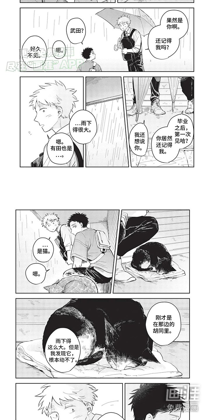 第9章：救助小猫