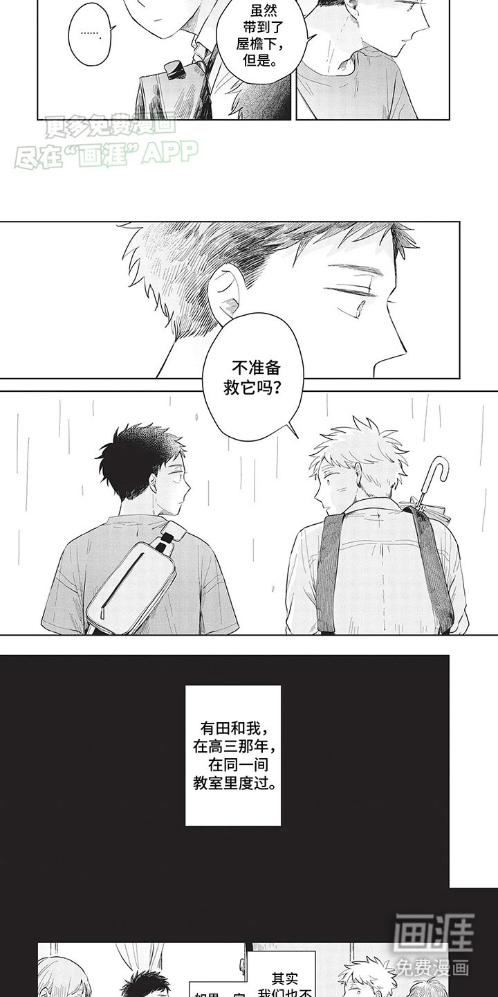 第9章：救助小猫