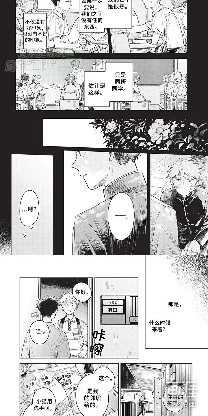 第9章：救助小猫