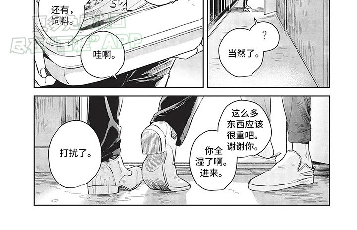 第9章：救助小猫