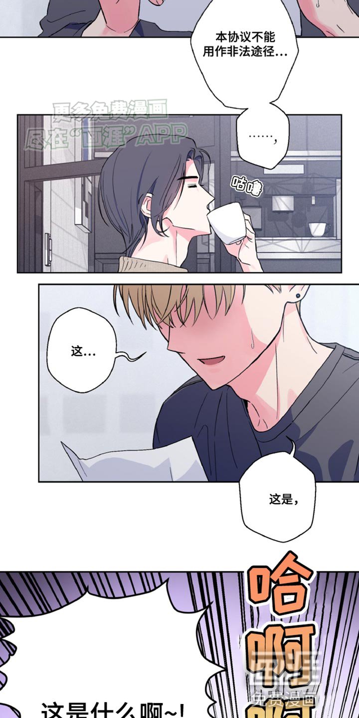 第16章：协议