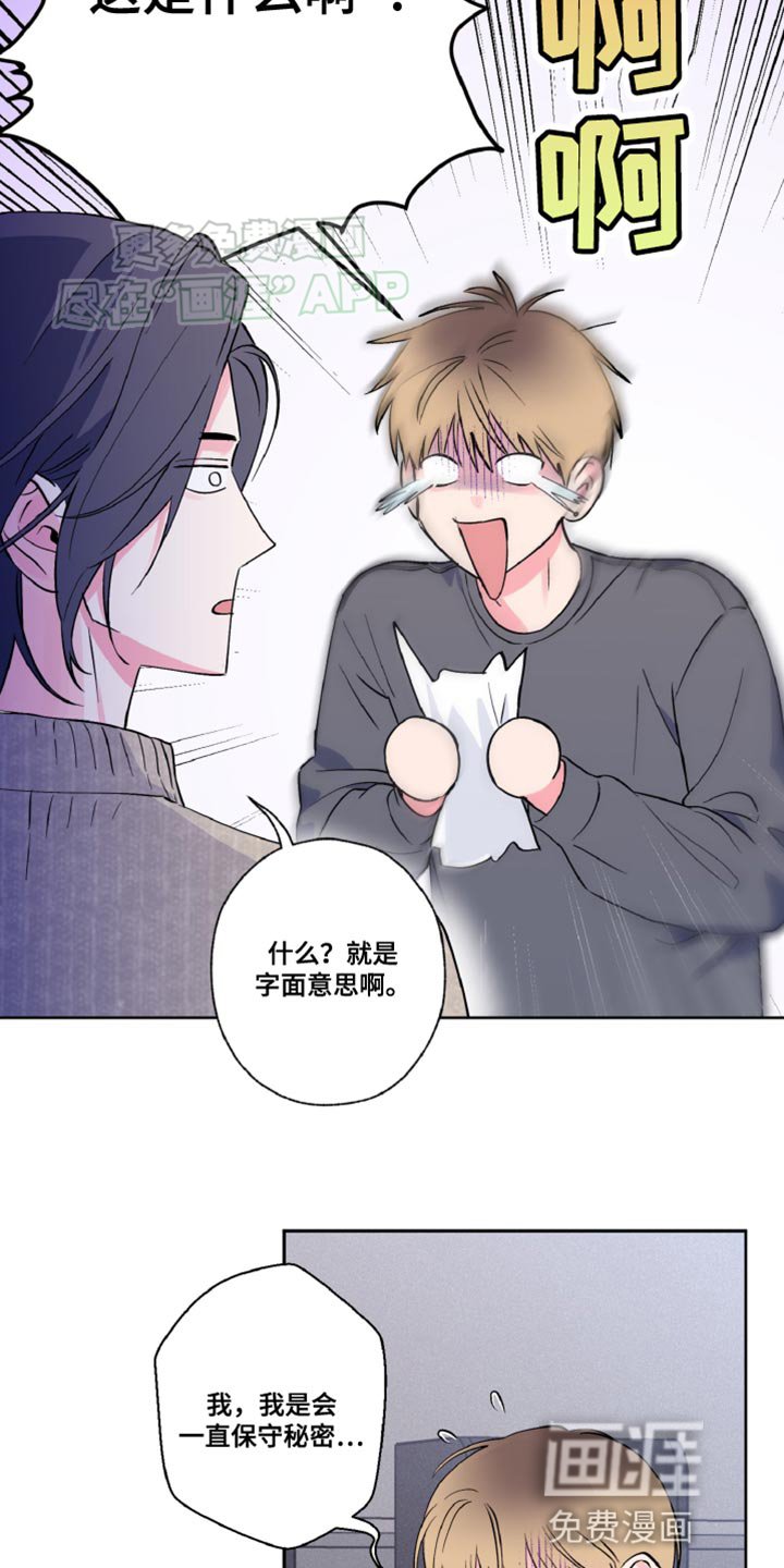 第16章：协议