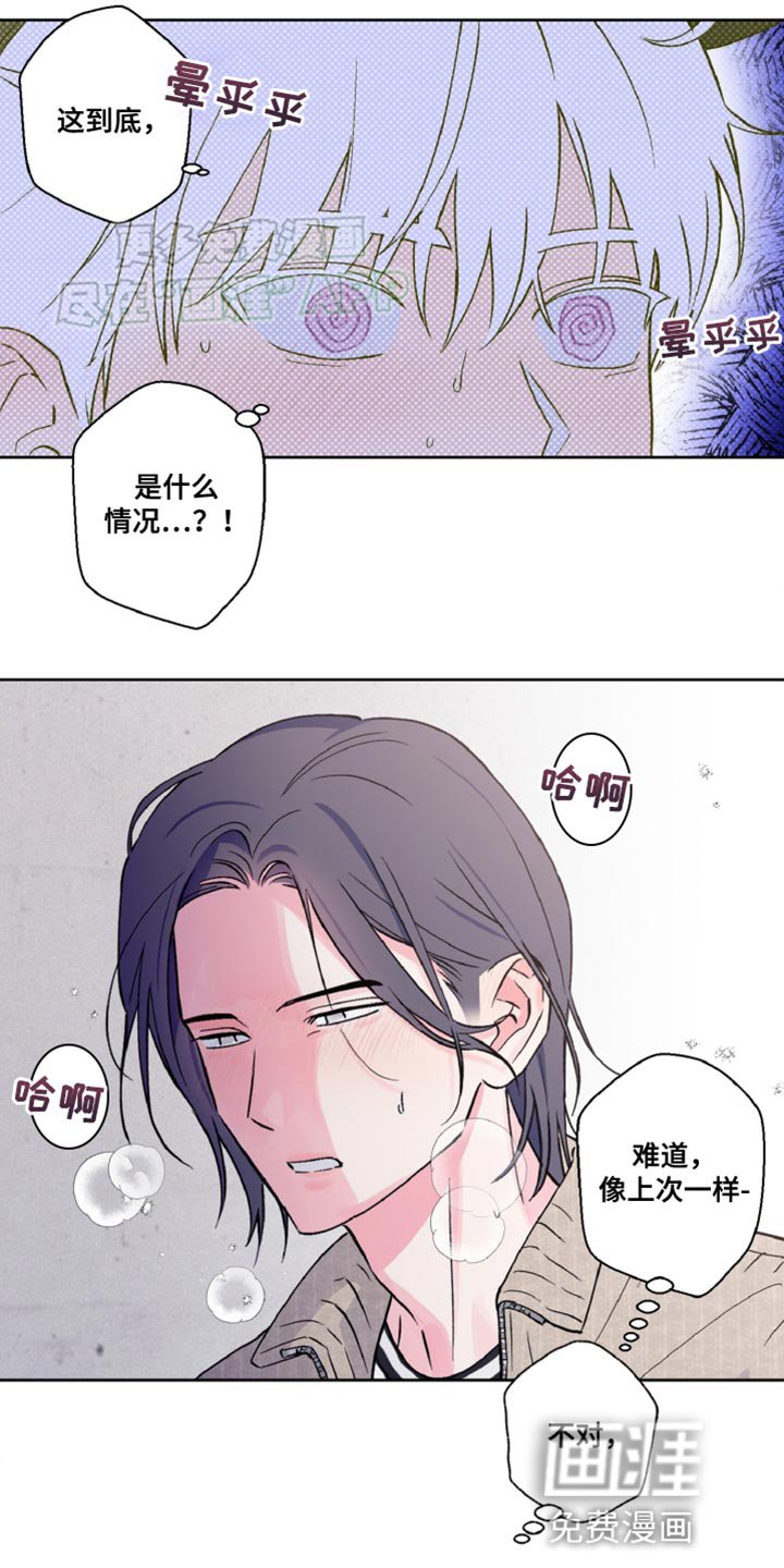 第19章：这次来真的