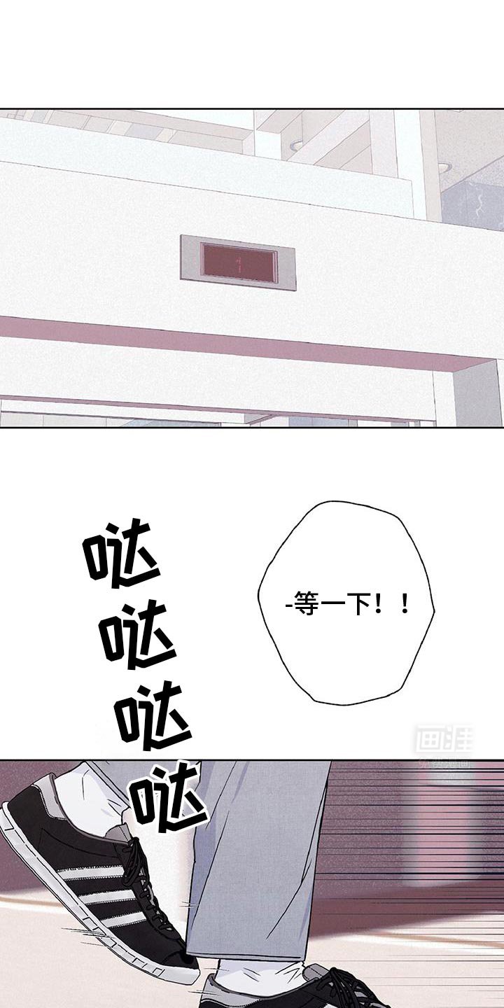 第51章：我最想念你了
