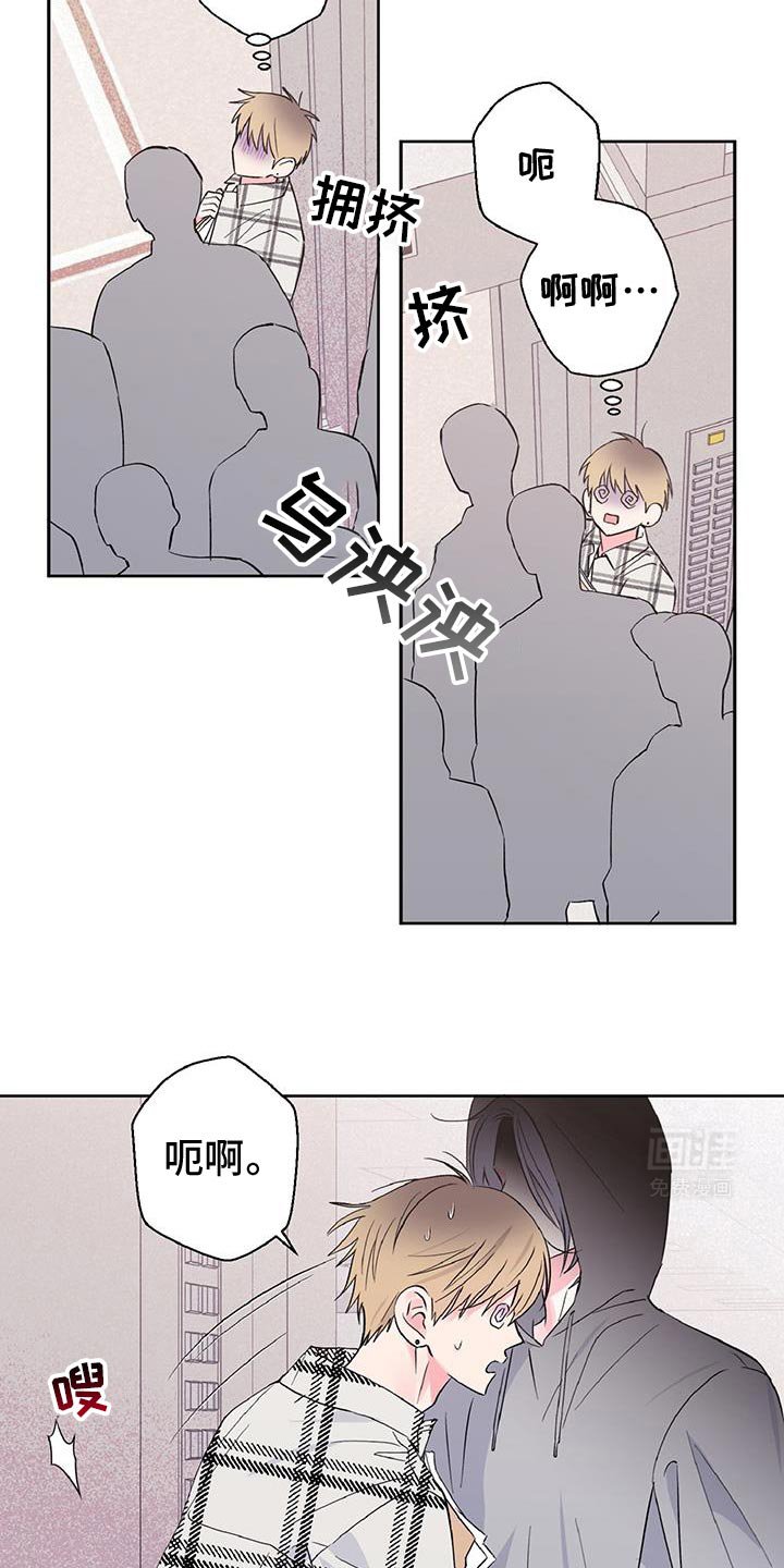 第51章：我最想念你了