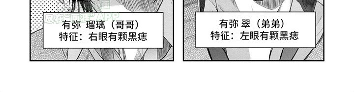 第1章：双胞胎
