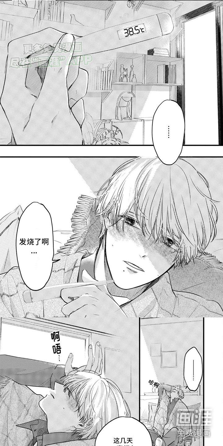 第4章：发烧