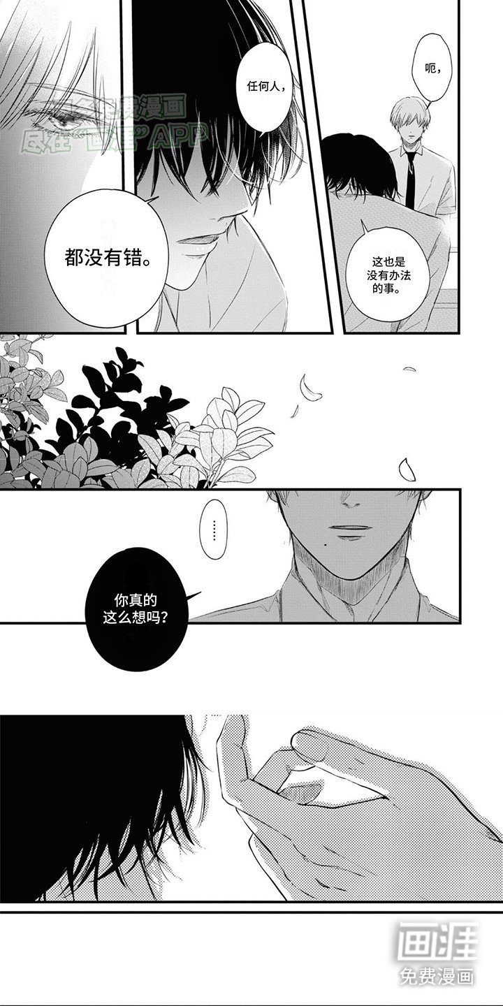 第6章：纠缠