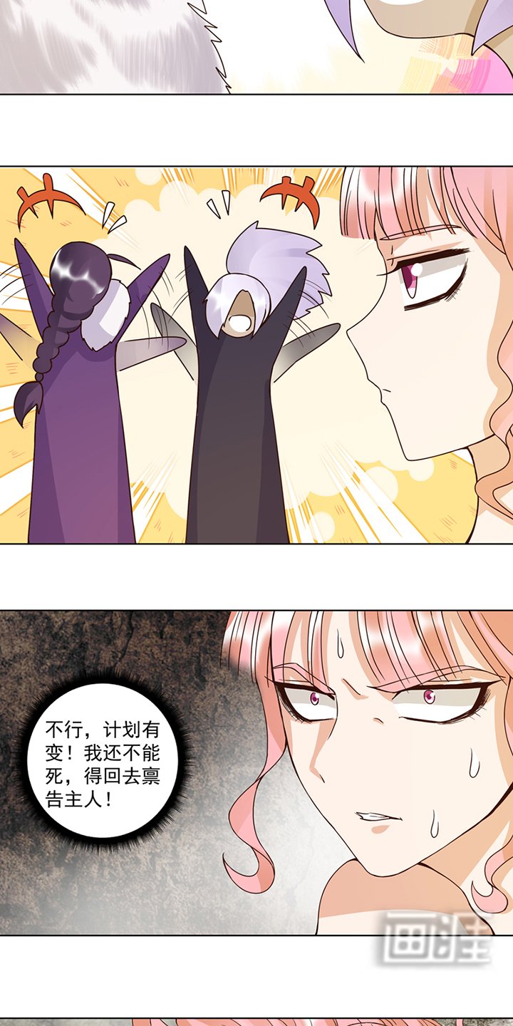 第100章：绝顶刺客