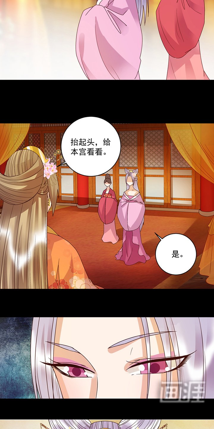 第108章： 楚馥芩
