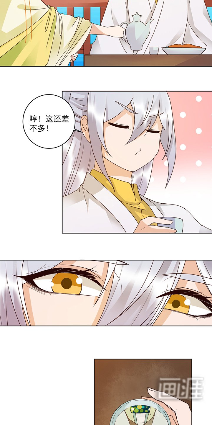 第113章：白小蛮被震惊了！