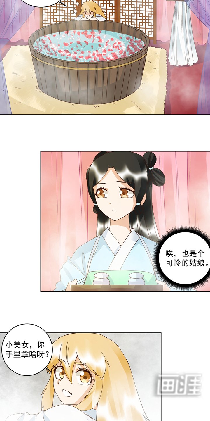 第113章：白小蛮被震惊了！