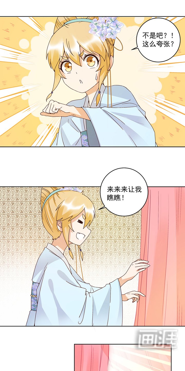 第116章：就是它了！