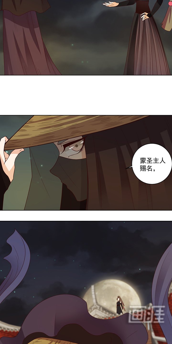 第118章：叶枫慈