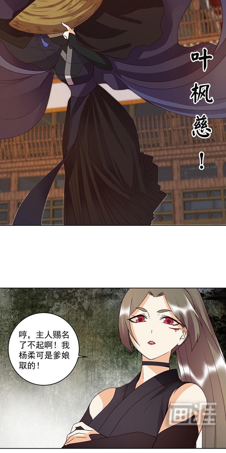 第118章：叶枫慈