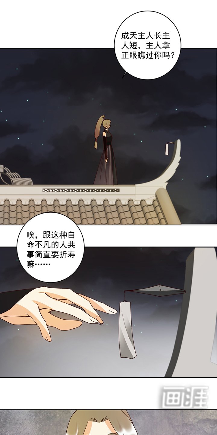 第118章：叶枫慈