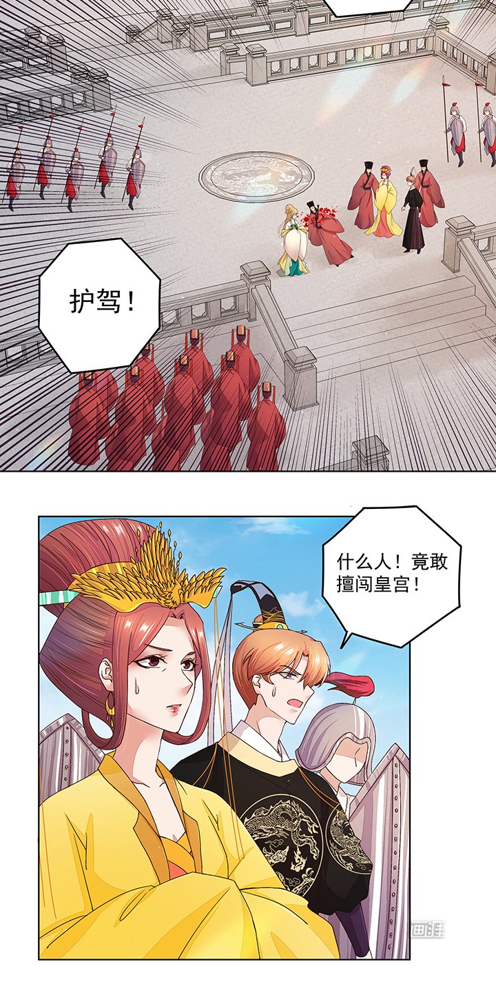第196章：刺客
