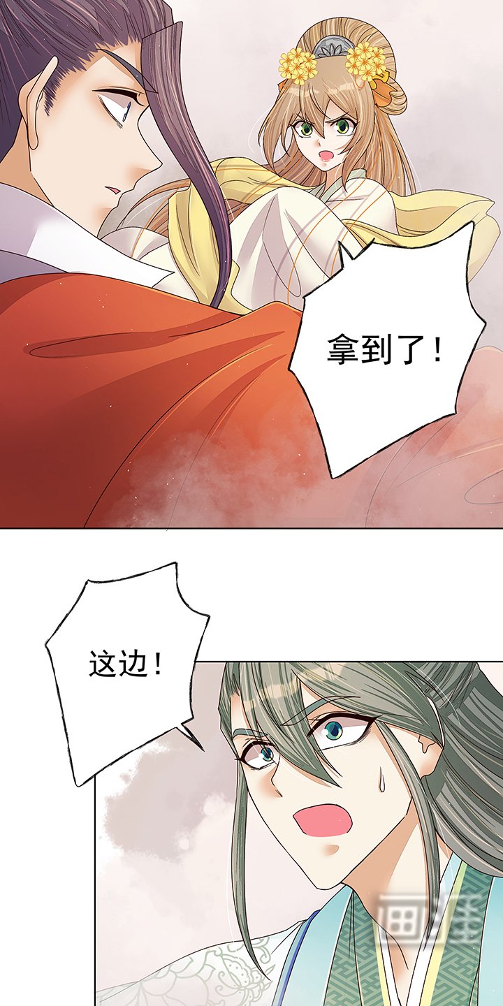 第206章：撤退
