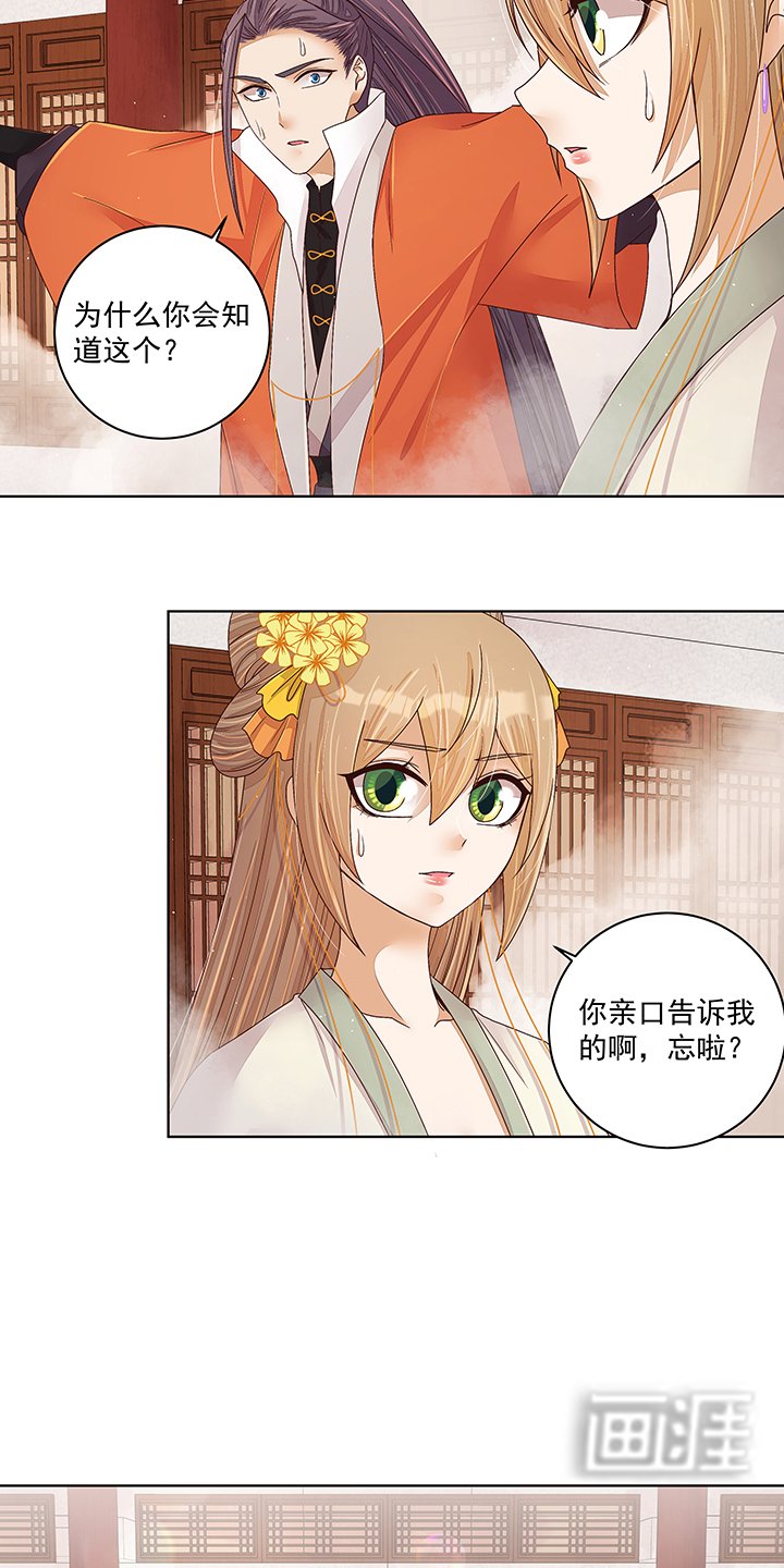 第206章：撤退