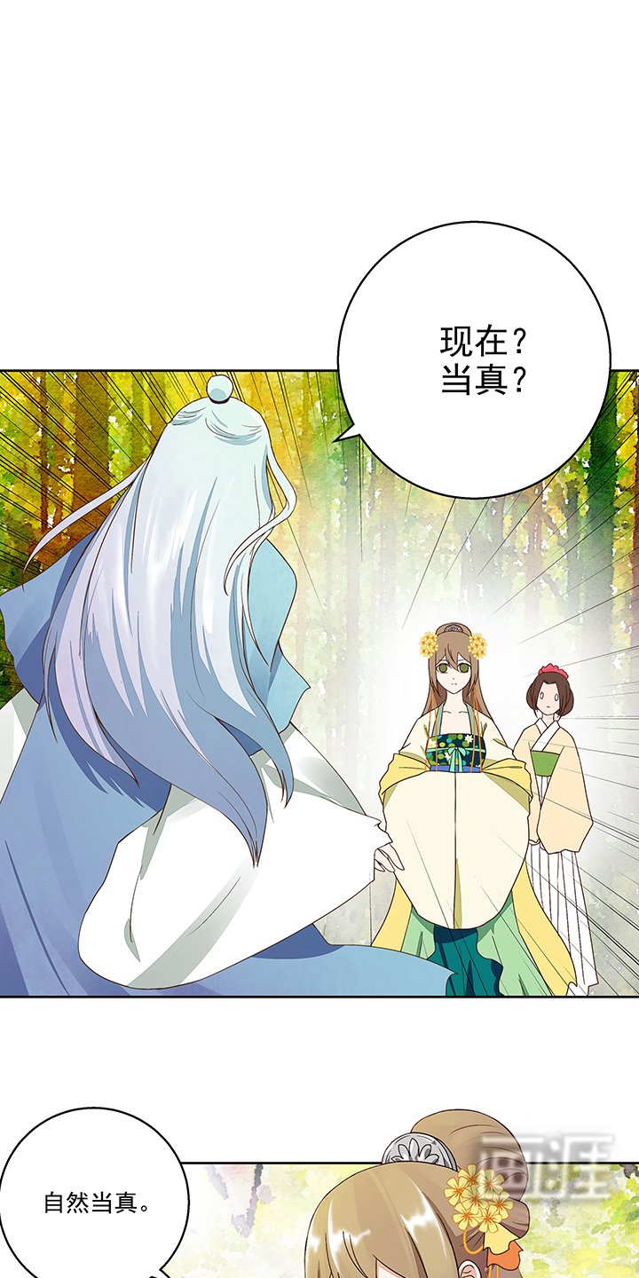 第41章：与云游子的约定