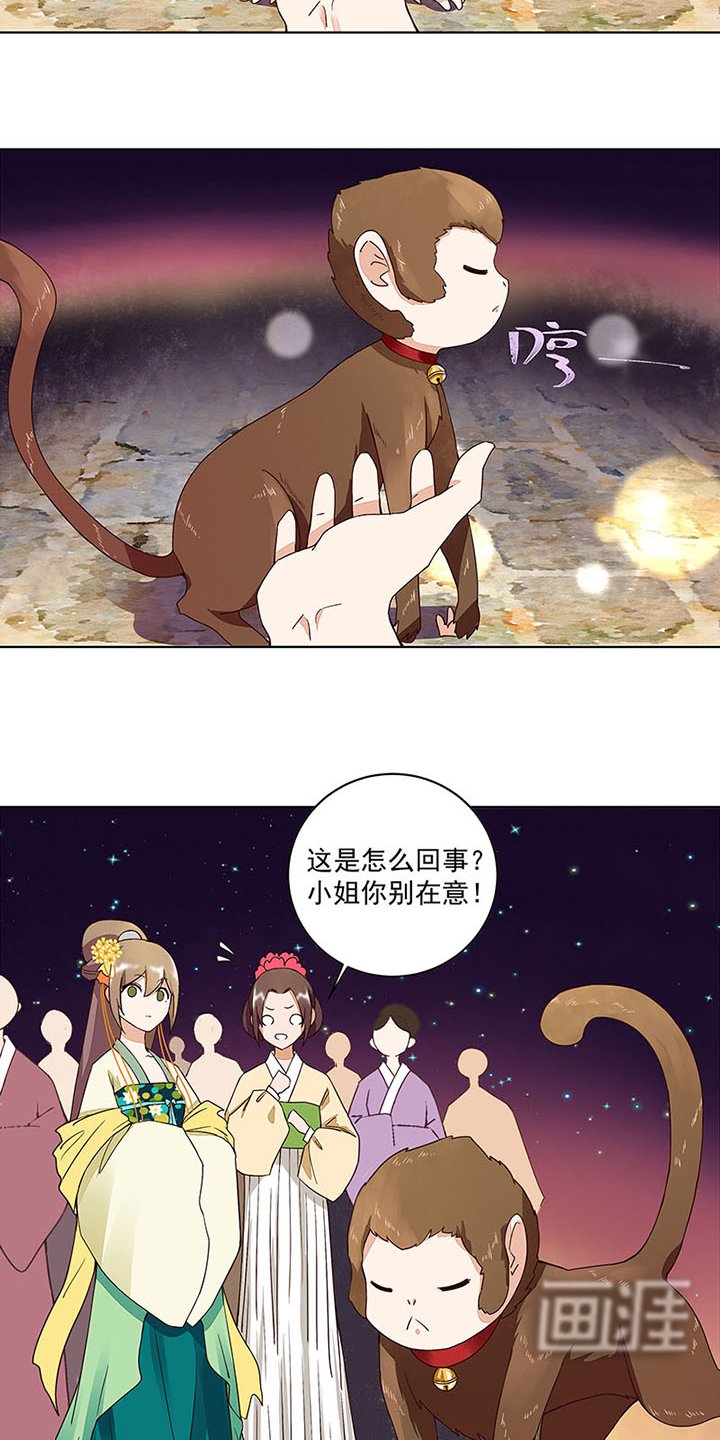 第66章：偷心
