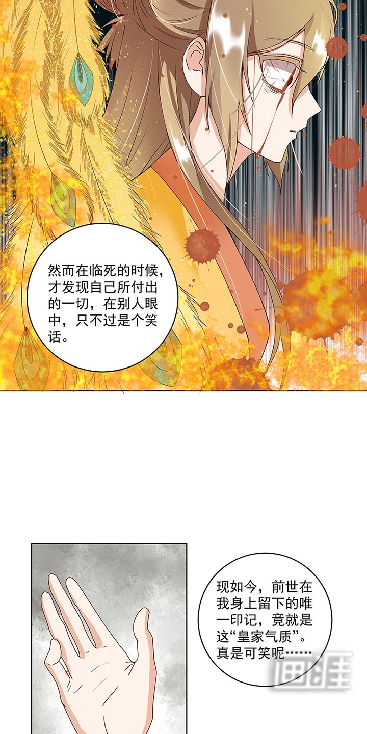 第73章：猴子