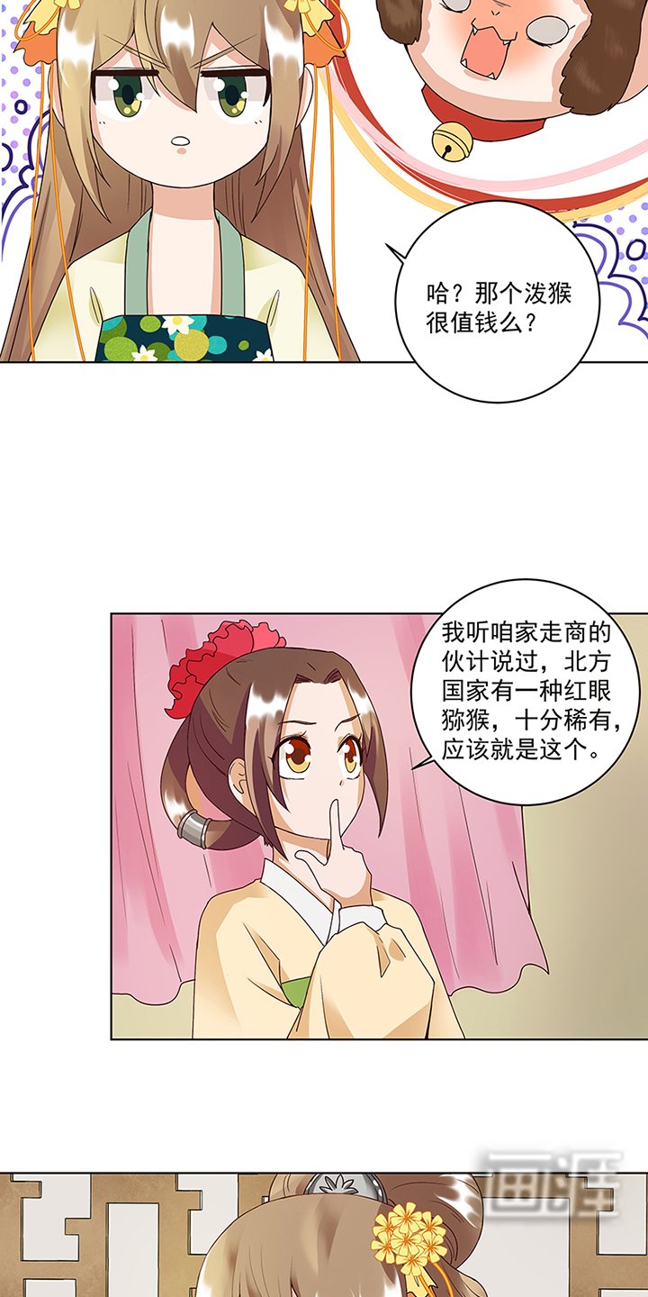 第73章：猴子