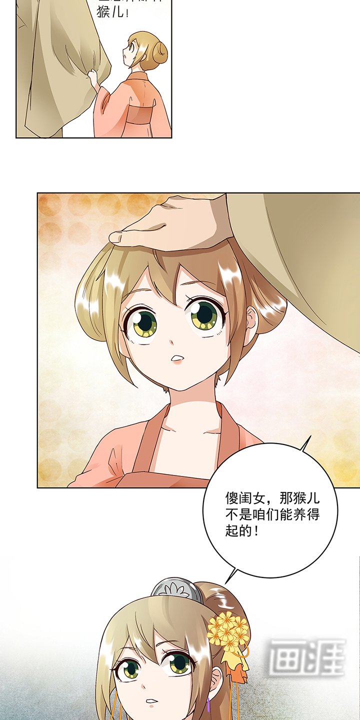 第73章：猴子